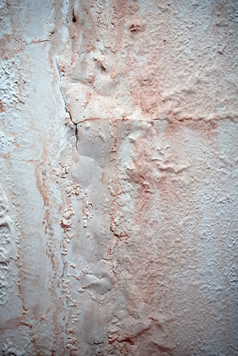 Top-Rated Roof Leak Detection & Repair Clermont FL - Orlando Leak Detection - Leaky_Wall_resized
