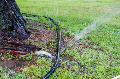 A yard sprinkler has a leak that leads to pooling water.