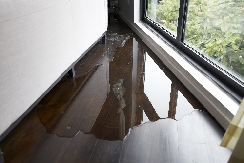 There is water just inside a home's window due to leaking. 