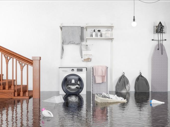Laundry detergent floats on water in a flooded basement. The washing machine and dryer are probably destroyed by the winter basement flood.