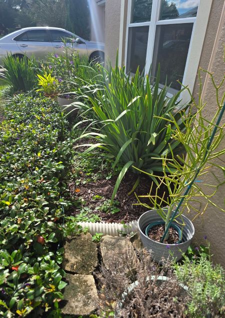 Winter Garden, FL