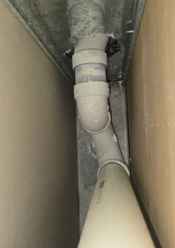 Mold Detection Service Image