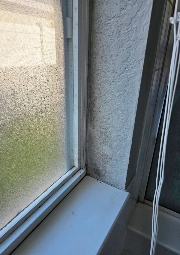 Window leak mold detection