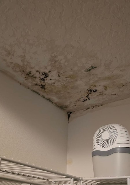 Leak Detection
