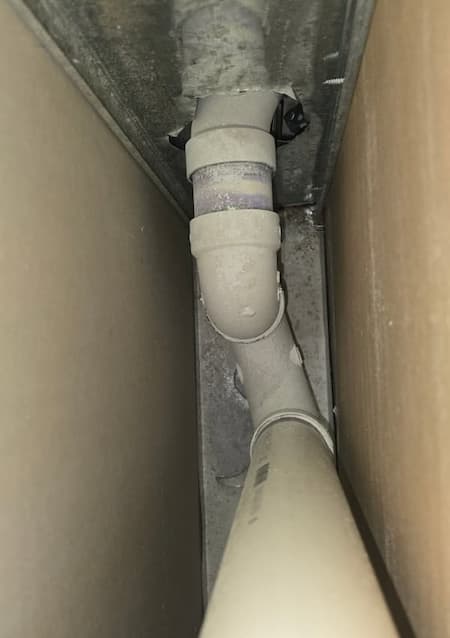 Mold Detection