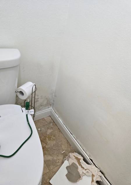 Mold Remediation